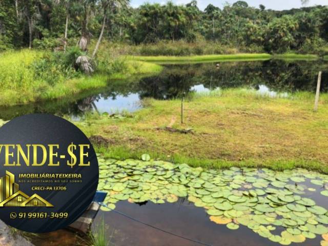 Venda em Zona Rural - Tailândia