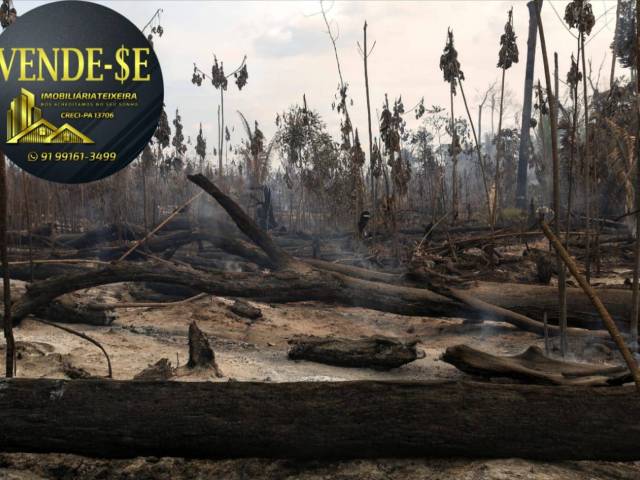 #0028 - Área para Venda em Tailândia - PA