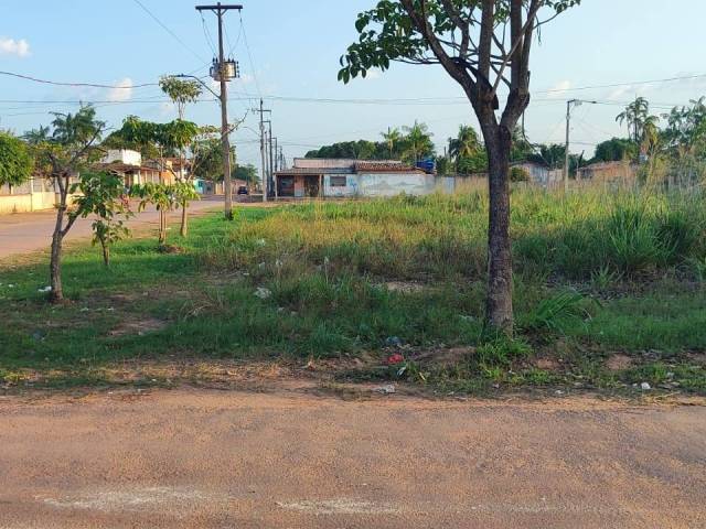 #0029 - Área para Venda em Tailândia - PA