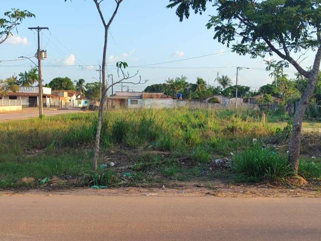 #0029 - Área para Venda em Tailândia - PA