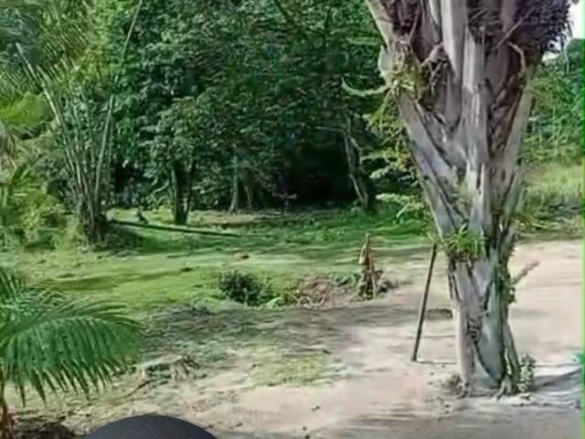 #29 - Chácara para Venda em Moju - PA