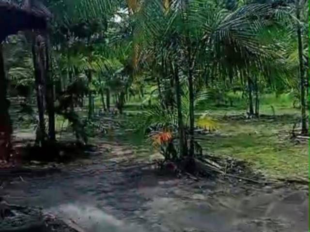 #29 - Chácara para Venda em Moju - PA